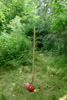 Beelden